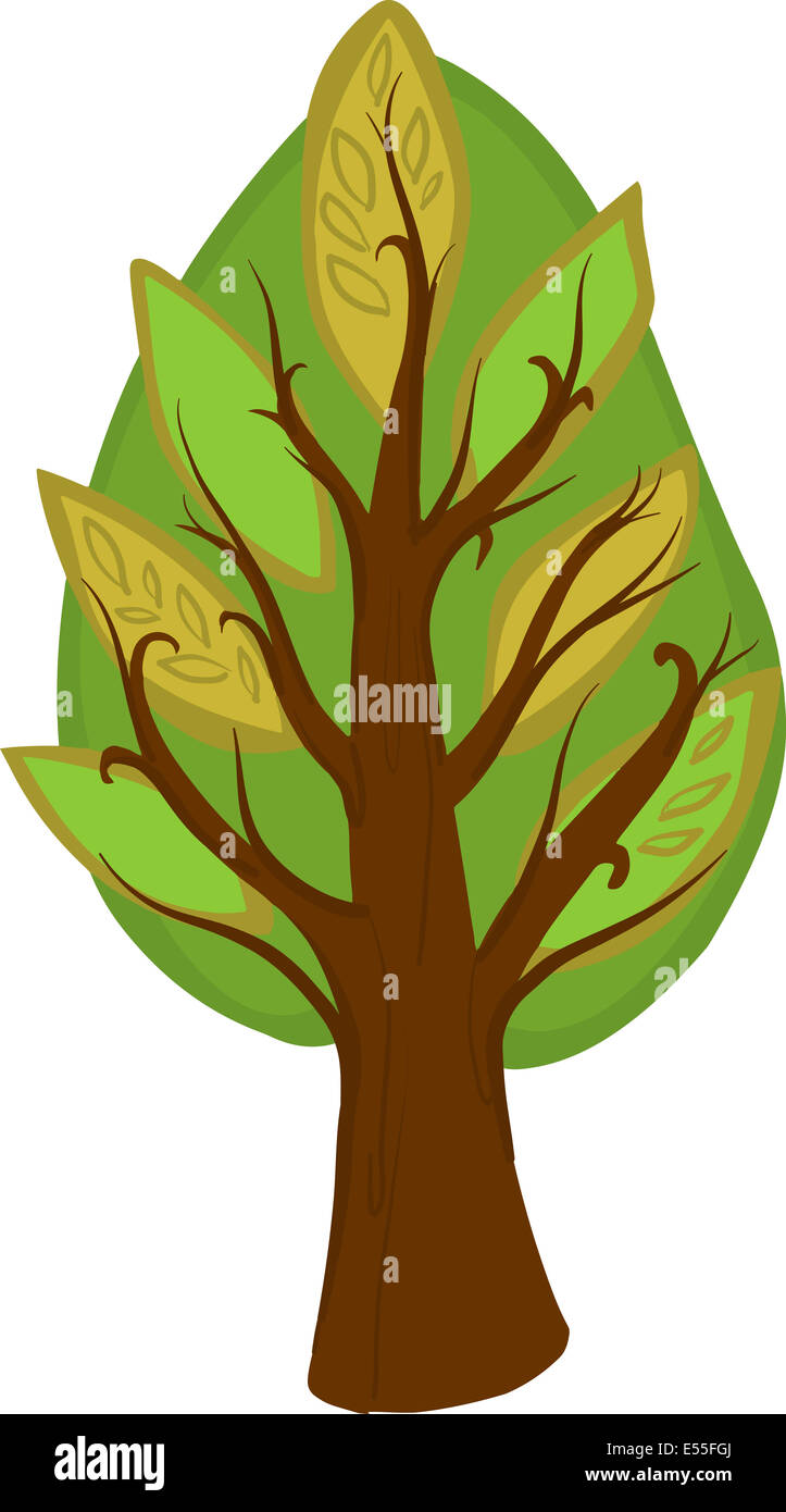 Ilustración de un árbol caducifolio de dibujos animados con la luz y la  oscuridad hojas, Brown, tronco y ramas. Aislados Fotografía de stock - Alamy