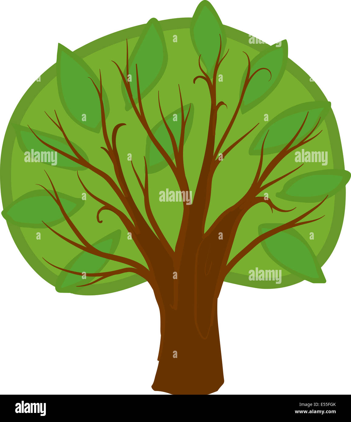 Ilustración de un árbol caducifolio de dibujos animados con luz y hojas de color verde oscuro, marrón, tronco y ramas. Aislados Fotografía de stock - Alamy Ilustración de un árbol caducifolio de dibujos animados con luz y hojas de color verde oscuro, marrón, tronco y ramas. Aislados Fotografía de stock - Alamy