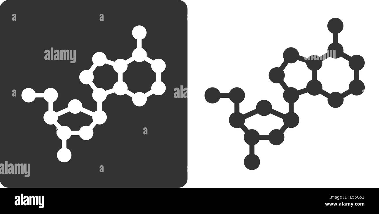 Deoxyadenosine (dA) Bloque de construcción del ADN, el estilo de icono de plano. Oxígeno, átomos de carbono y de nitrógeno se muestra como círculos; átomos de hidrógeno omitir Foto de stock