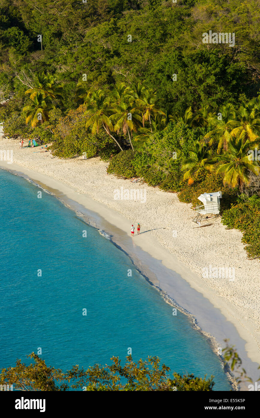 Tronco de la bahía y playa de la isla caribeña de St John en las Islas Vírgenes de EE.UU. Foto de stock