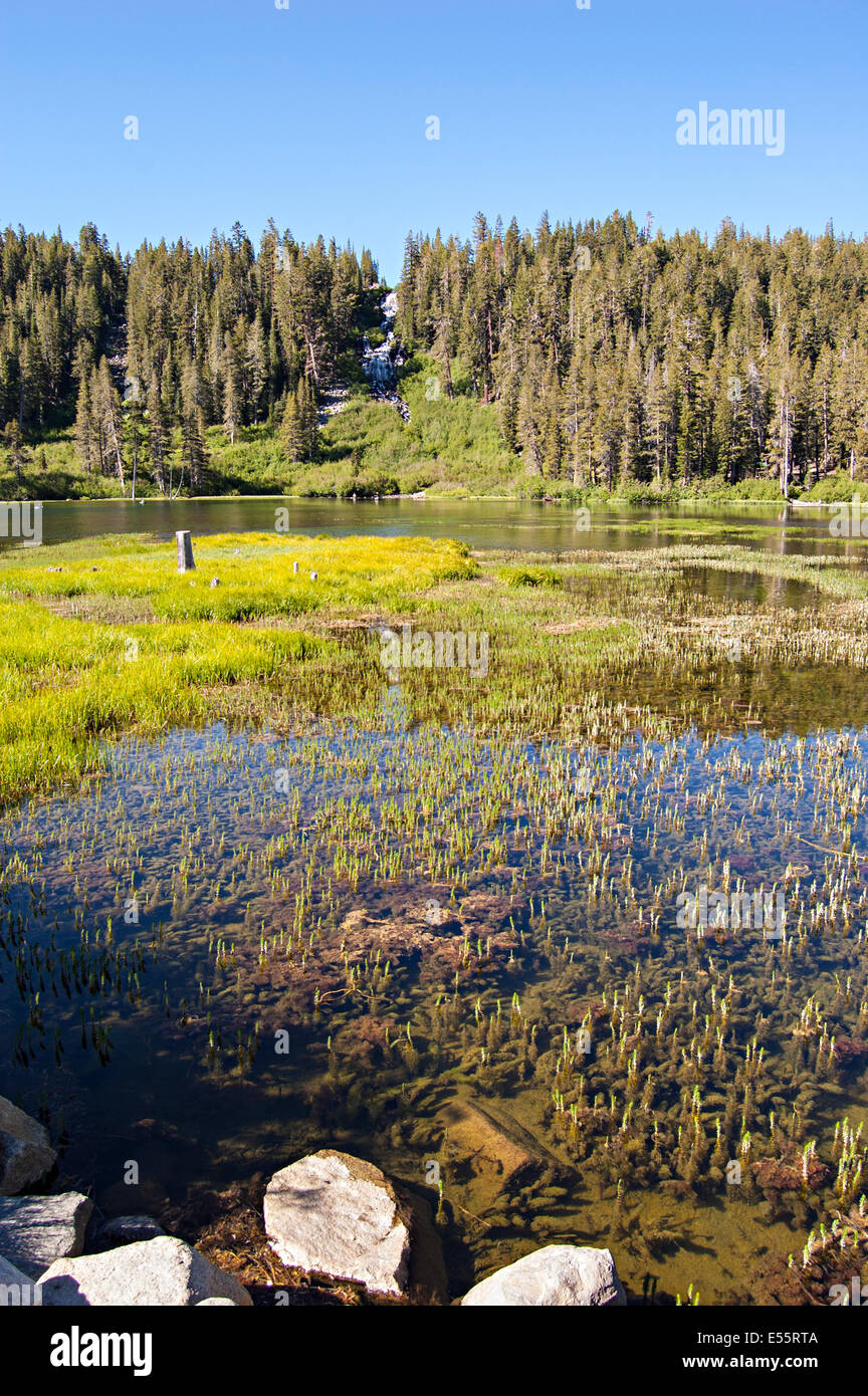 Mammoth Lakes, California. Ee.Uu. Foto de stock