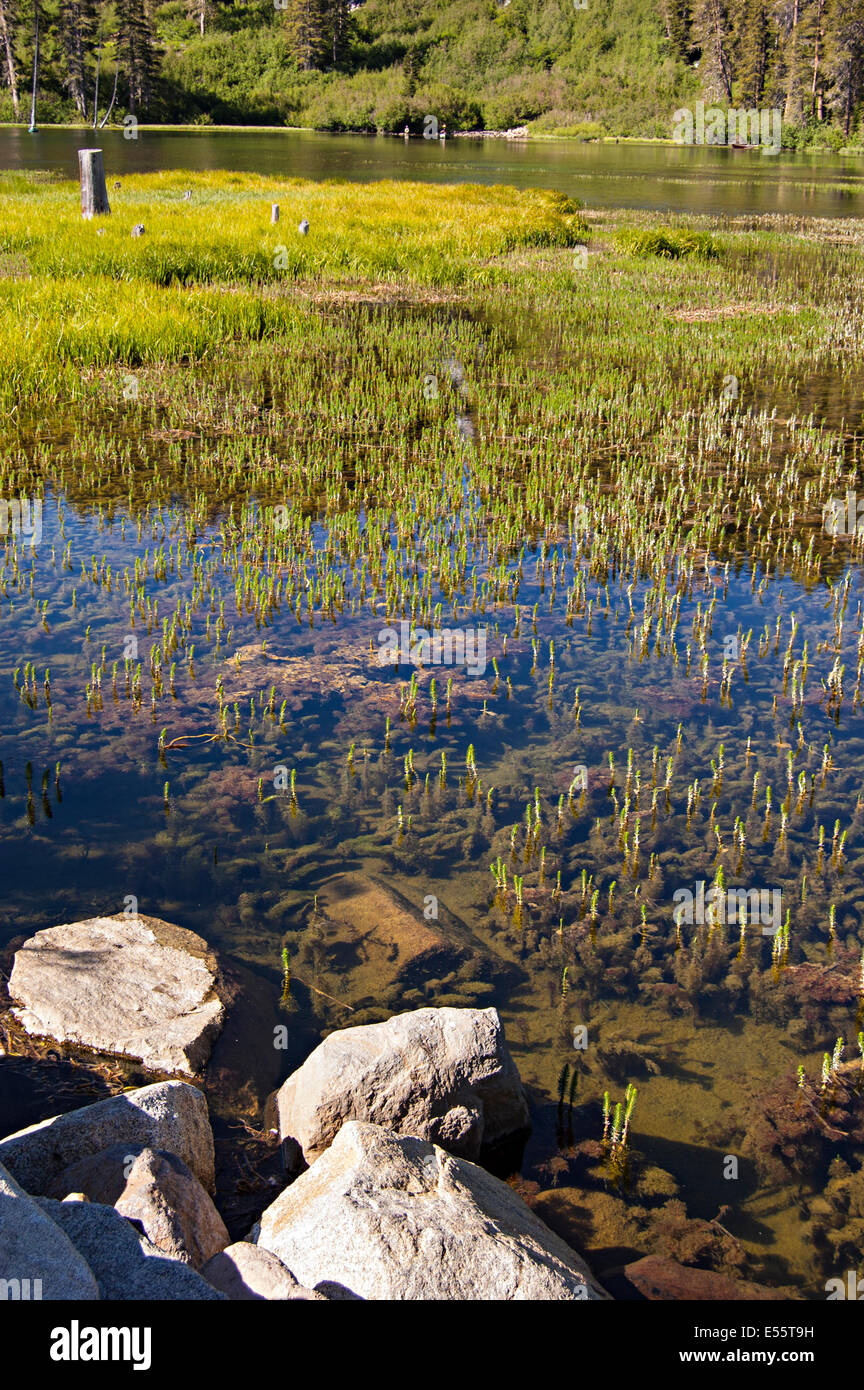 Mammoth Lakes, California. Ee.Uu. Foto de stock