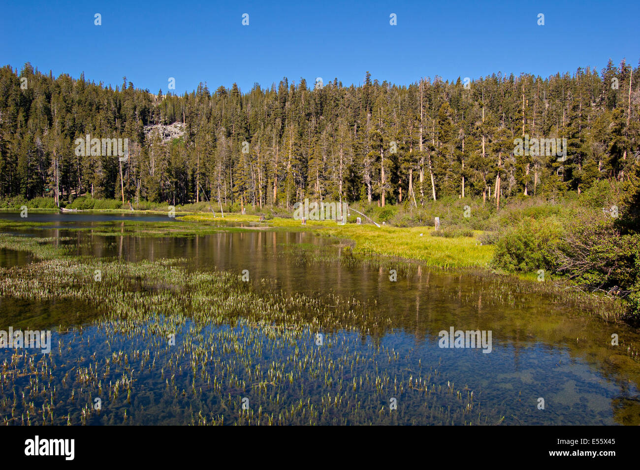 Mammoth Lakes, California. Ee.Uu. Foto de stock