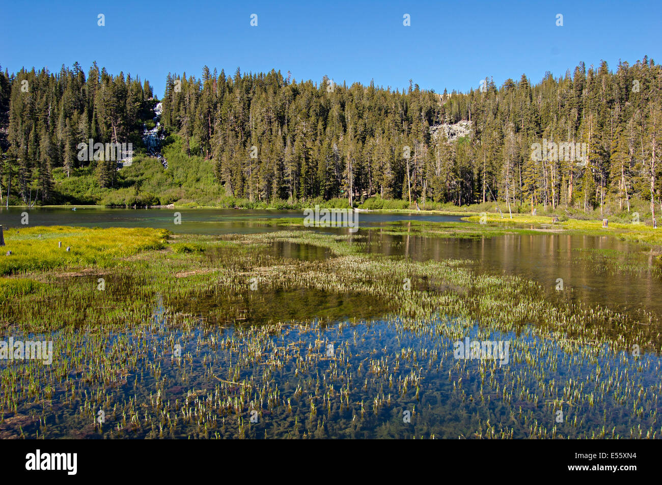Mammoth Lakes, California. Ee.Uu. Foto de stock