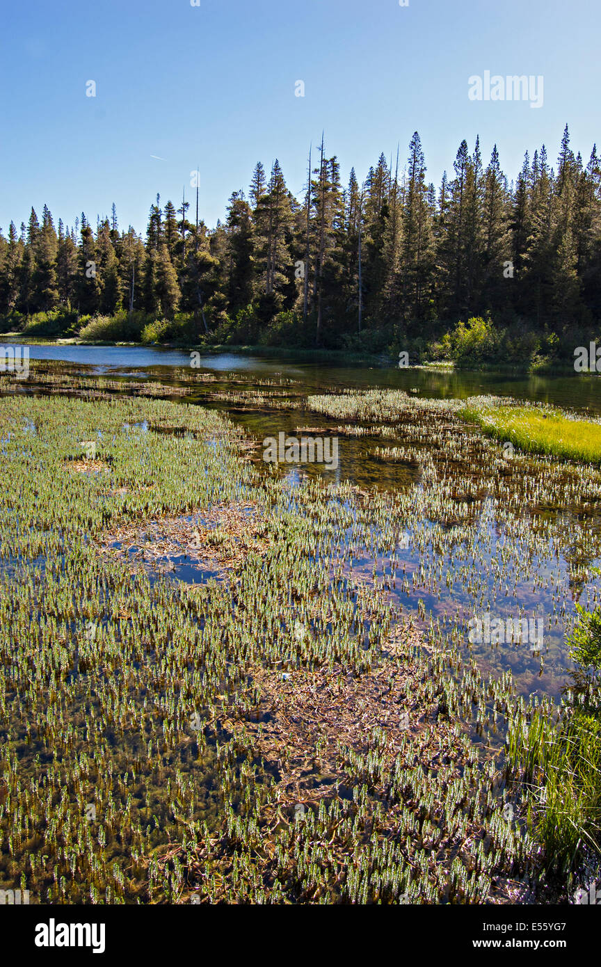 Mammoth Lakes, California. Ee.Uu. Foto de stock