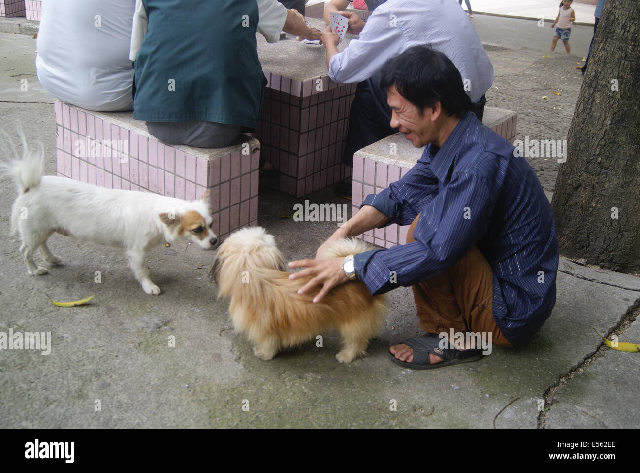 Un hombre y su perro Foto de stock