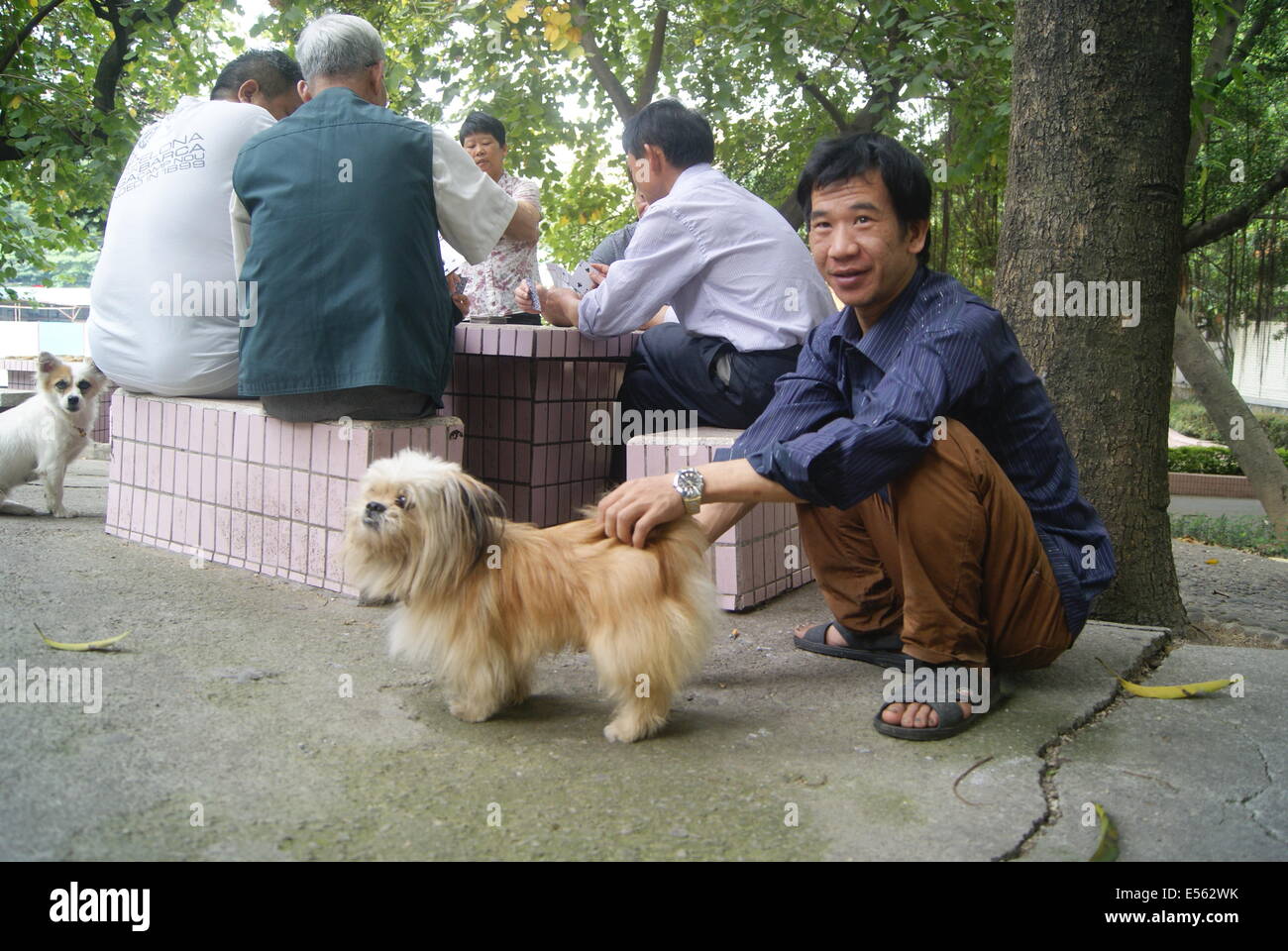 Un hombre y su perro Foto de stock