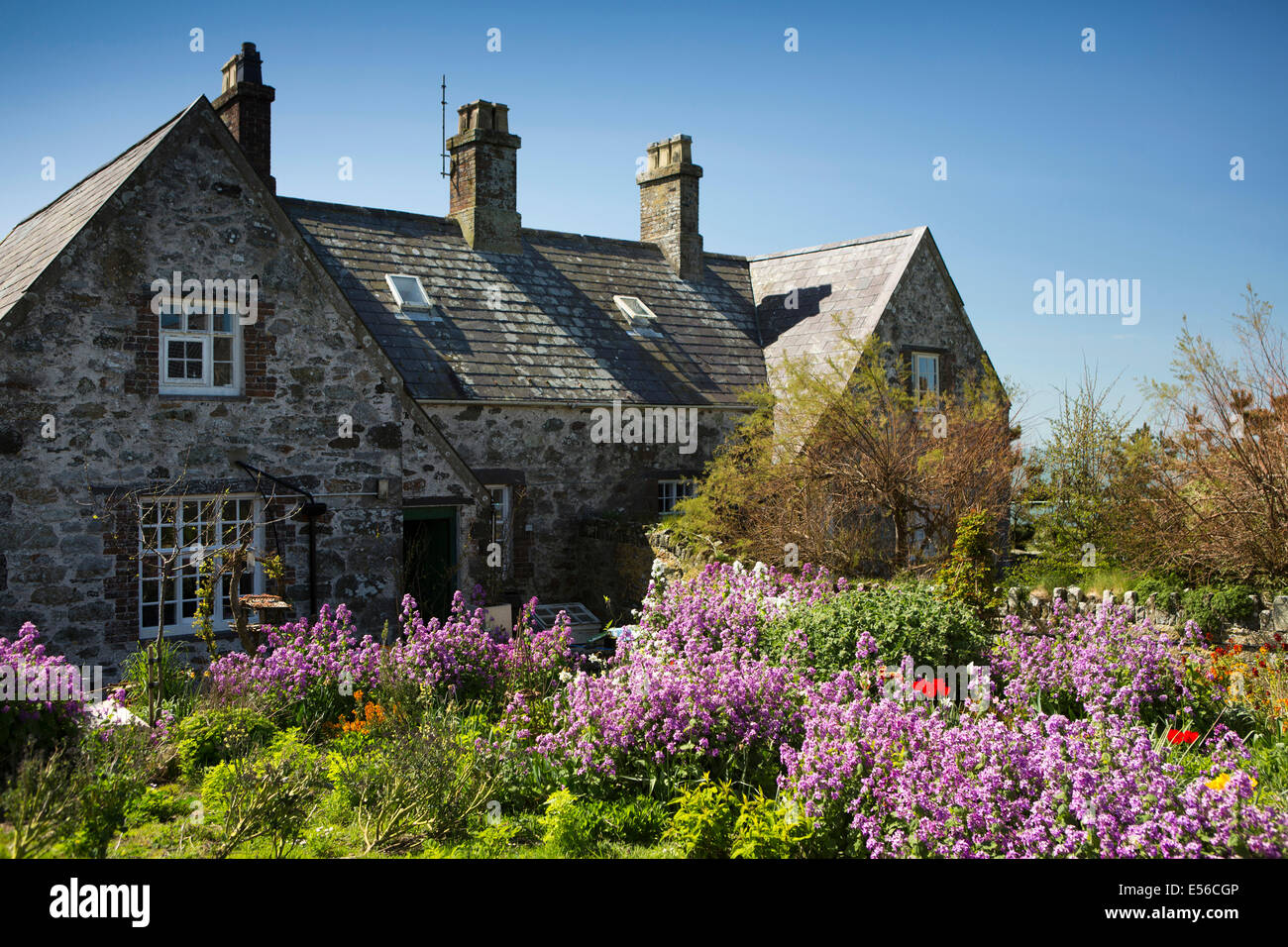 Reino Unido, el País de Gales, Gwynedd, Península de Lleyn, Isla Bardsey, jardín floral de Ty Bach, hogar de isla Manager Foto de stock