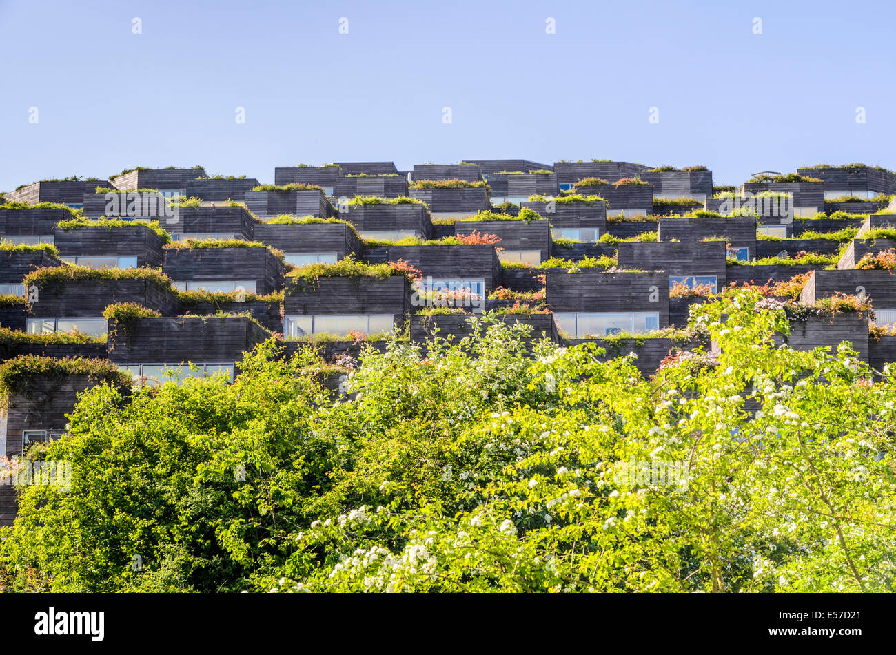 La montaña, apartamento, casa de Amager, Copenhague, Dinamarca Foto de stock