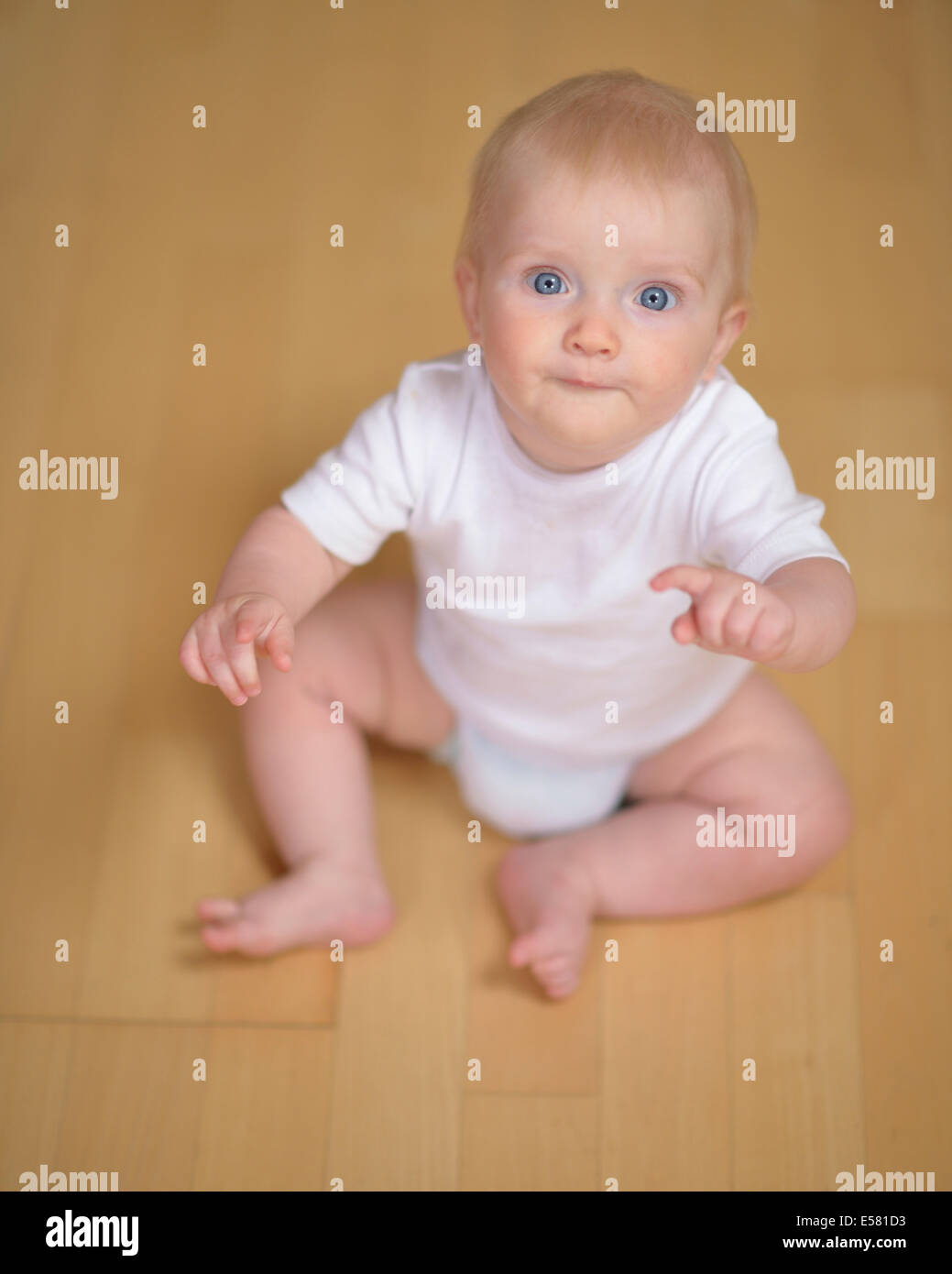 Bebé de 7 meses, curioso, atento Foto de stock