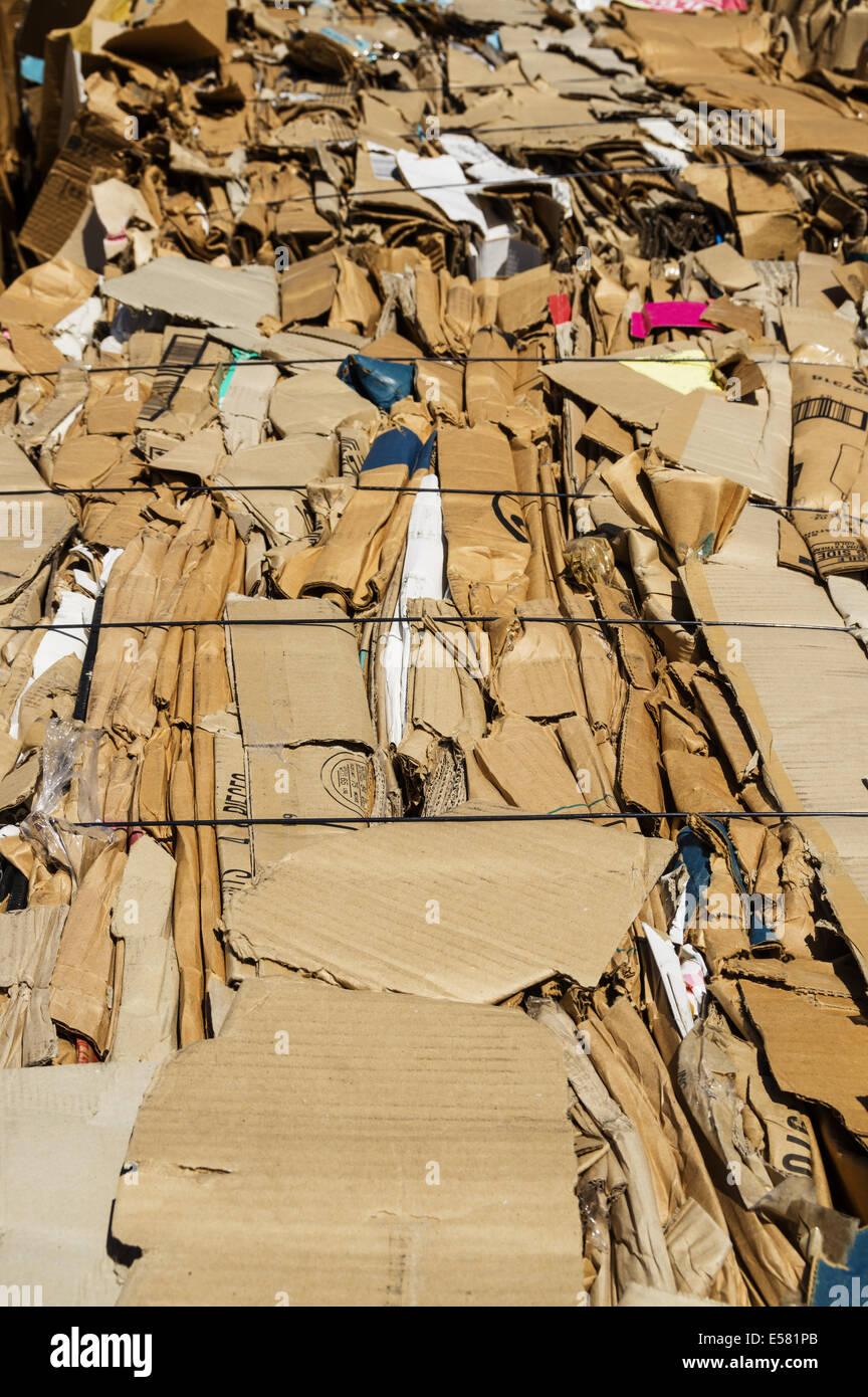 Viejas cajas de cartón prensado en fardos para el reciclaje Fotografía de  stock - Alamy
