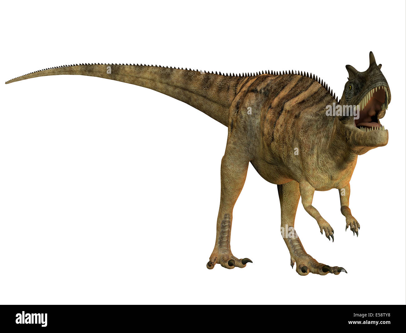 Ceratosaurus dinosaur carnivore carnivorous fotografías e imágenes de alta resolución - Alamy Ceratosaurus dinosaur carnivore carnivorous fotografías e imágenes de alta resolución - Alamy