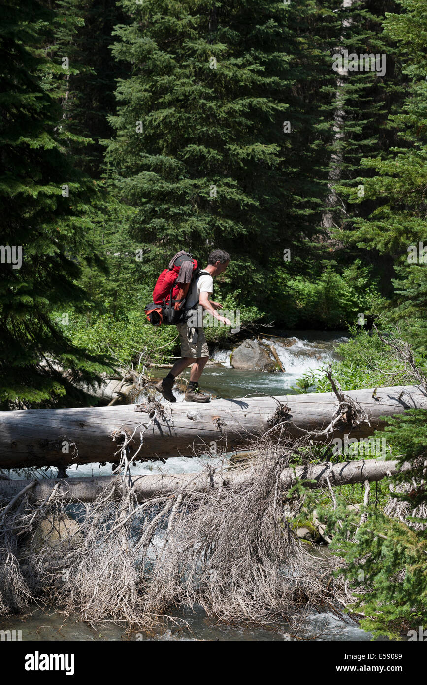 Backpacker cruzando un registro a lo largo de un arroyo en Oregon's Wallowa Mountains. Foto de stock