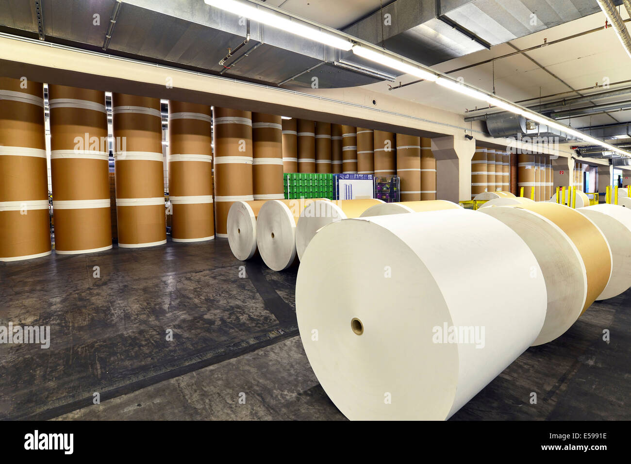 Almacenamiento de rollos de papel en una imprenta Fotografía de stock -  Alamy