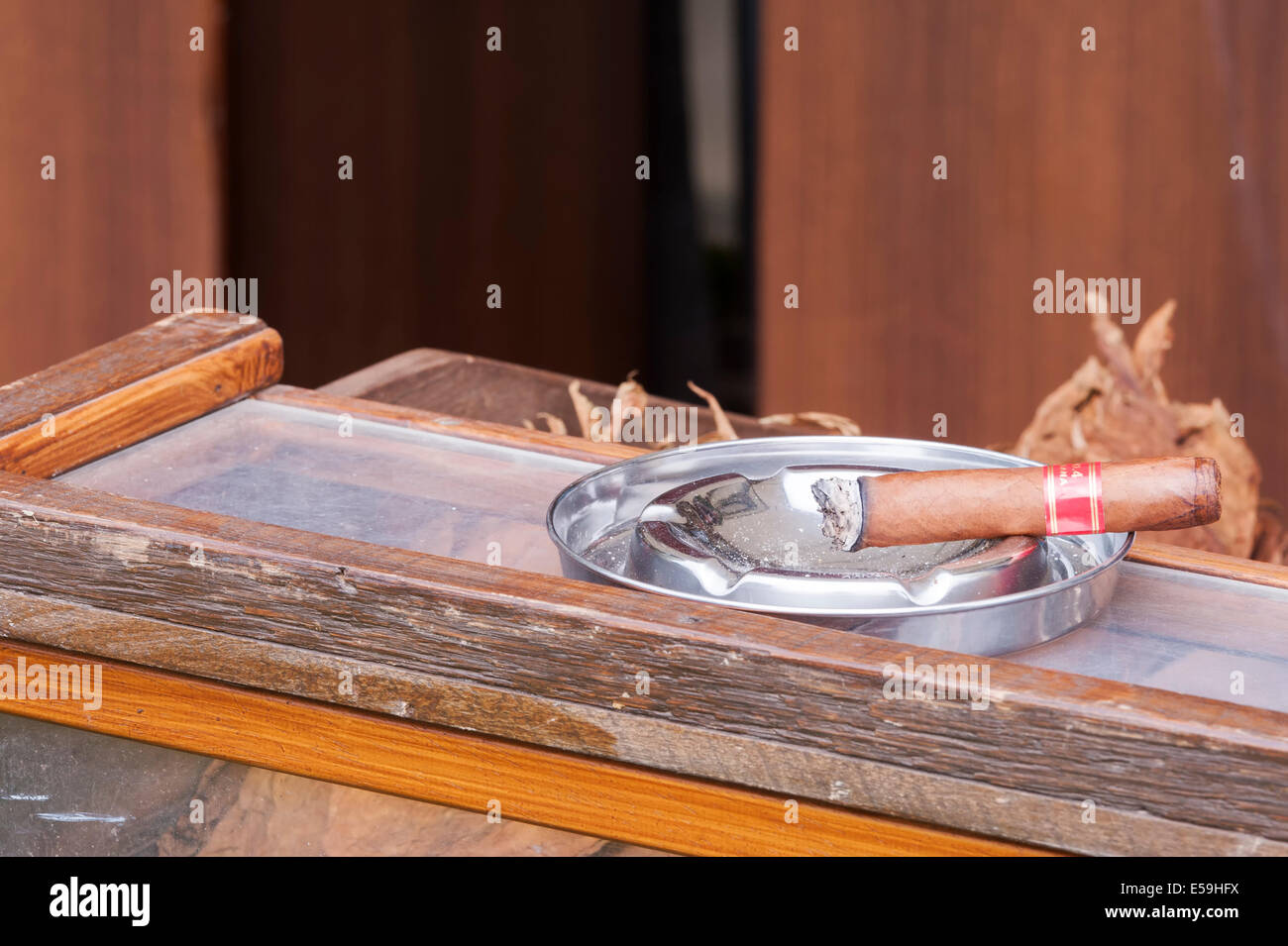 Recién liados a mano y encendió cigarro habano en banco de rodillos con hojas de tabaco en segundo plano. Foto de stock