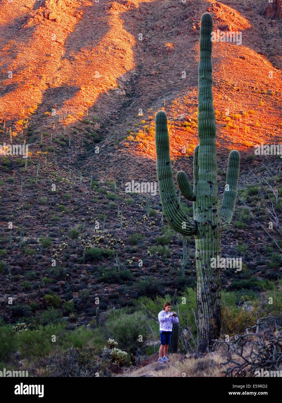 Cacto Saguaro en la montaña en el desierto del suroeste con niña Foto de stock