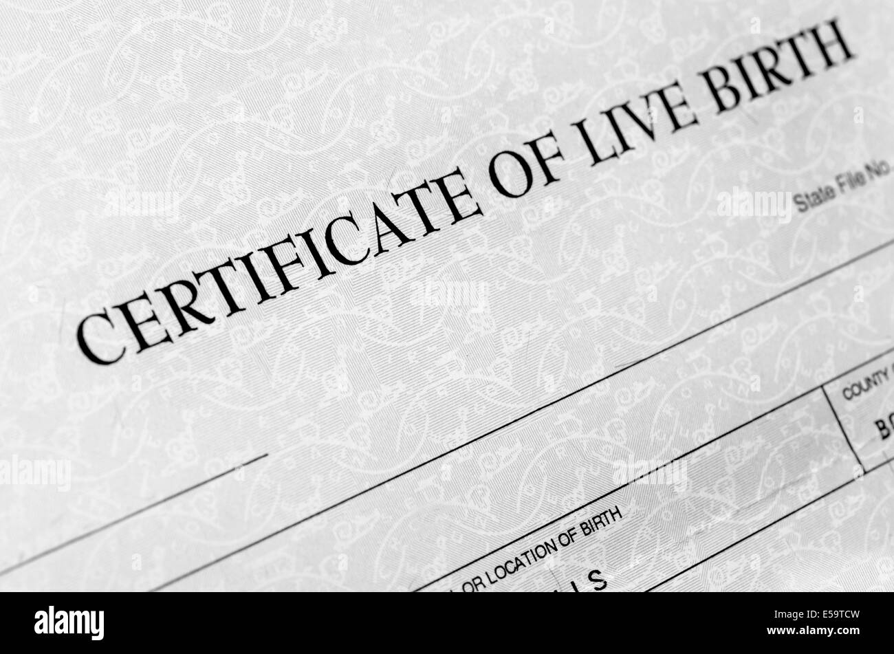 Closeup detalle de certificado de nacimiento formulario para rellenarlo cuando el bebé nace Foto de stock