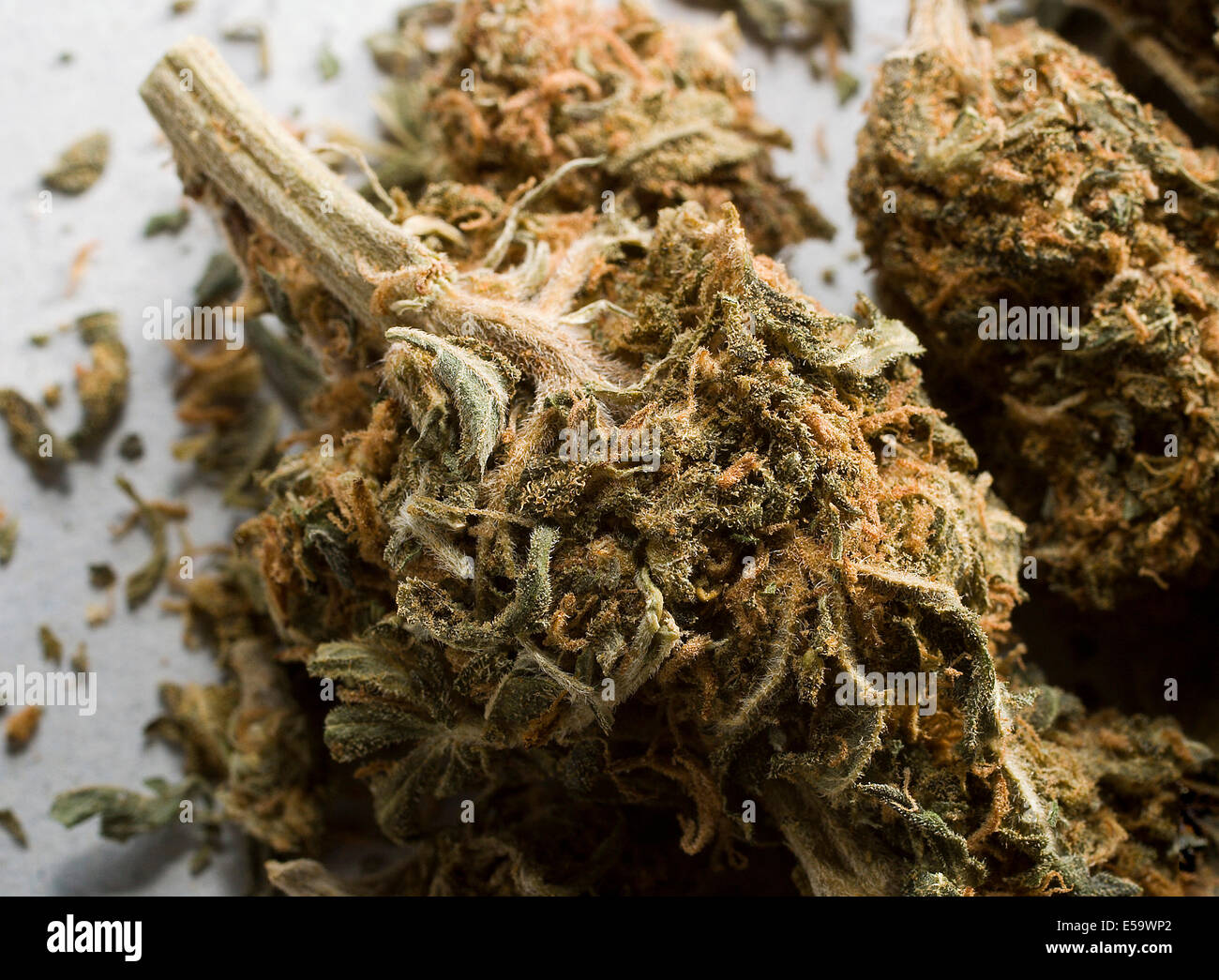 Marihuana Foto de stock