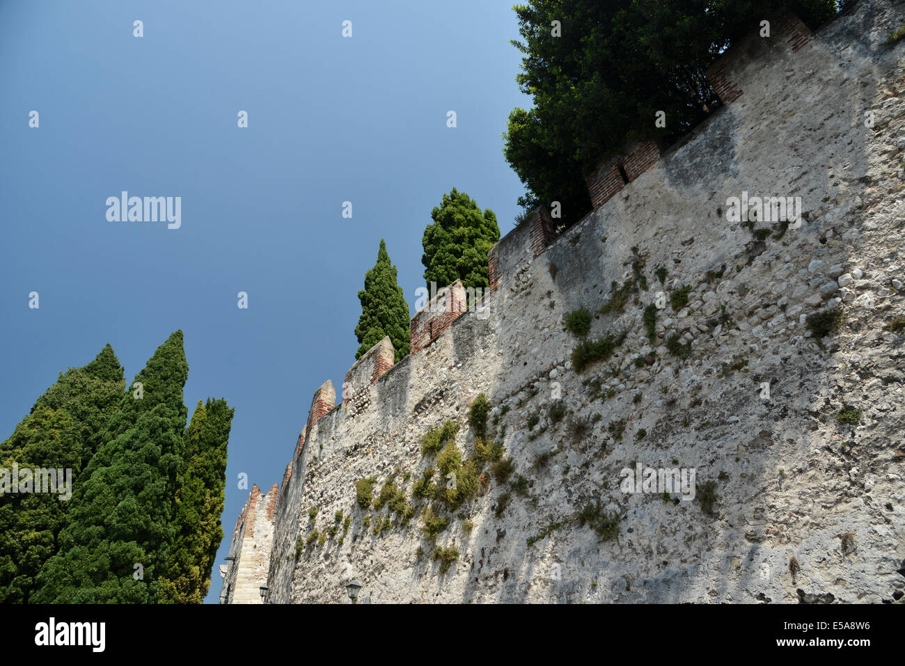 Malcesine castillo en la orilla del Lago de Garda, Italia Foto de stock