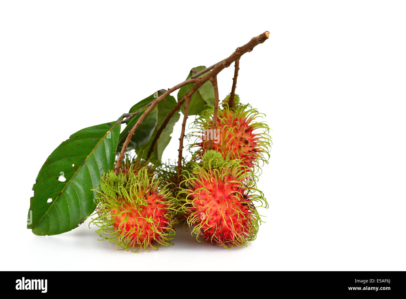 Rambutan fruit fotografías e imágenes de alta resolución Alamy
