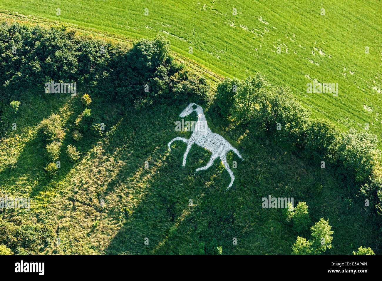 Vista aérea de la ciudad de White Horse en amplio o amplio Hinton, nr Royal Wootton Bassett, sur de Swindon, Wiltshire, Inglaterra. JMH6173 Foto de stock