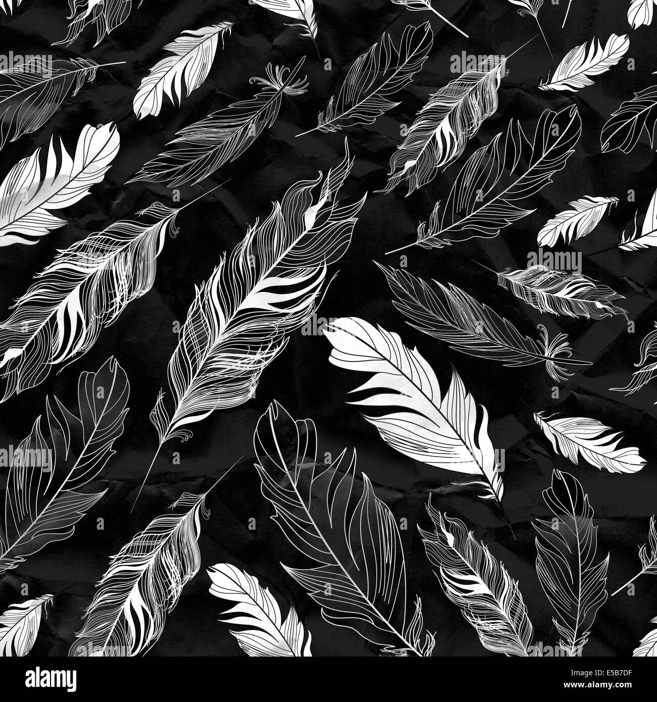 Negro con plumas fotografías e imágenes de alta resolución - Alamy