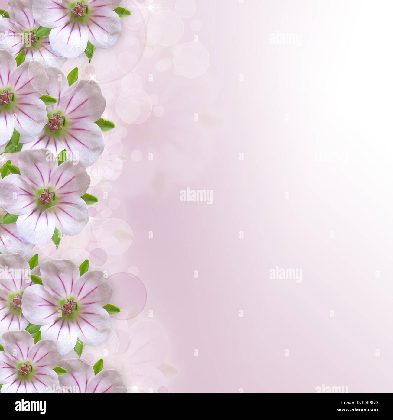 Fondo rosa y blanco fotografías e imágenes de alta resolución - Alamy