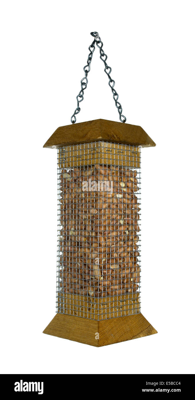 Peanut comedero para pájaros de jardín común Foto de stock