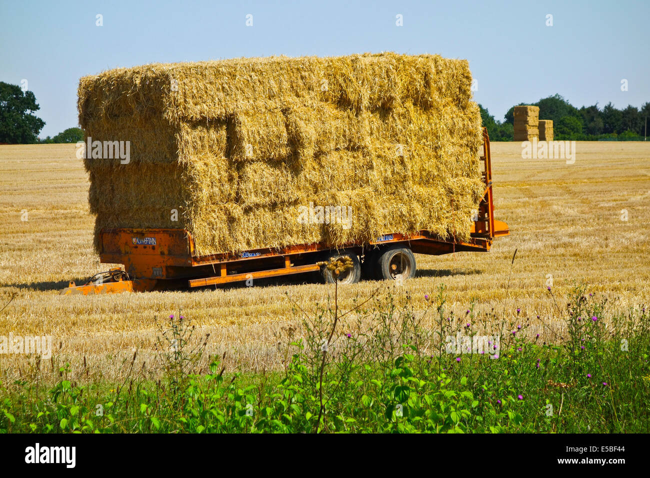 Fardos de paja en la finca en el campo de remolque Foto de stock