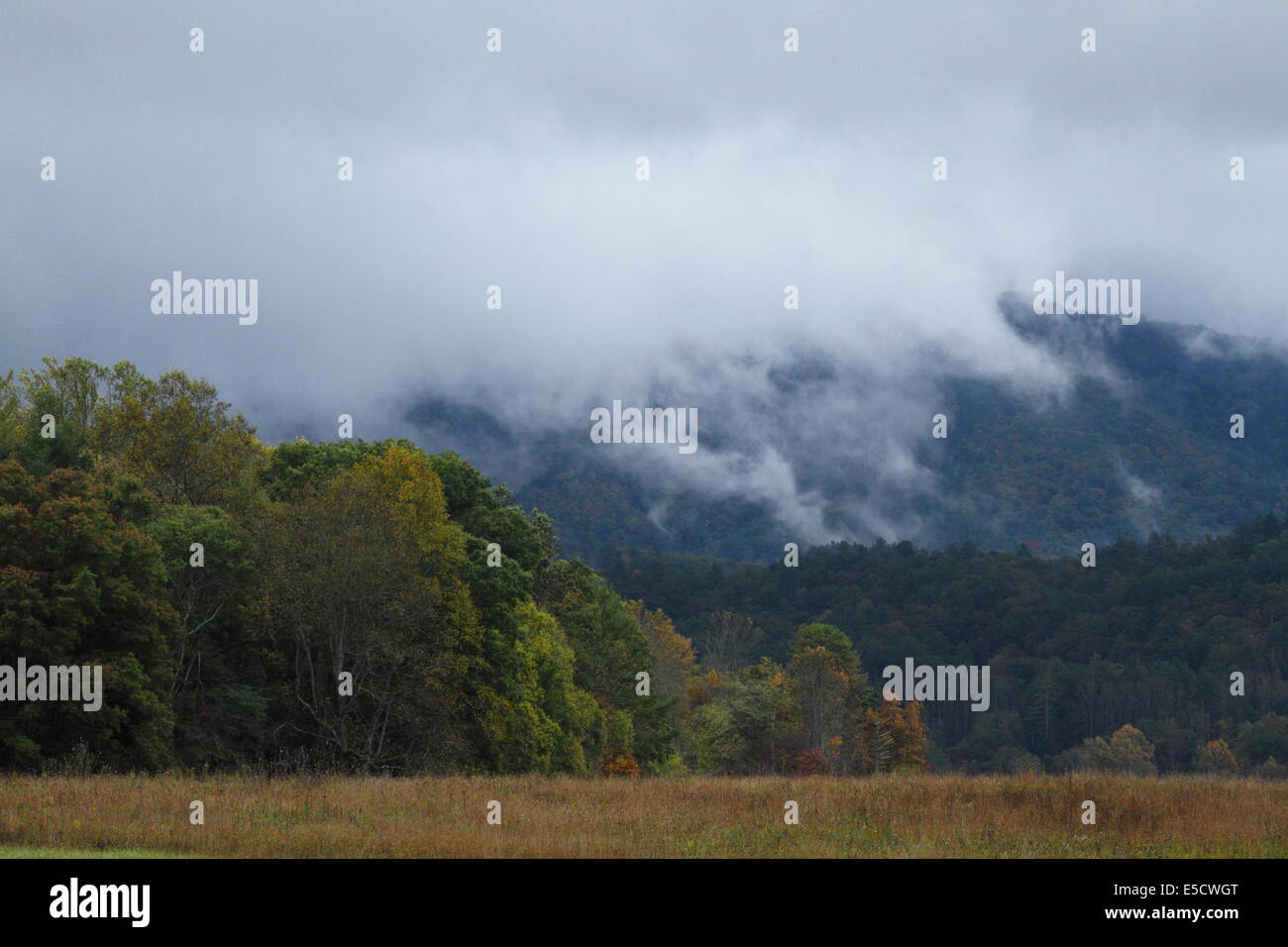 Sobres de niebla las crestas de las montañas alrededor de Cades Cove en el Great Smoky Mountains National Park, Tennessee, EE.UU. Foto de stock