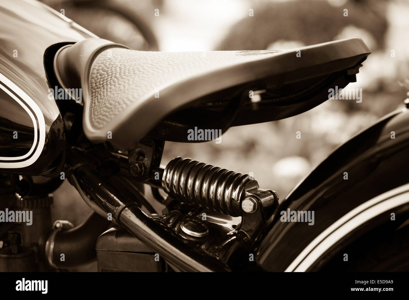 Muslo Privación búnker Sillín de moto fotografías e imágenes de alta resolución - Alamy
