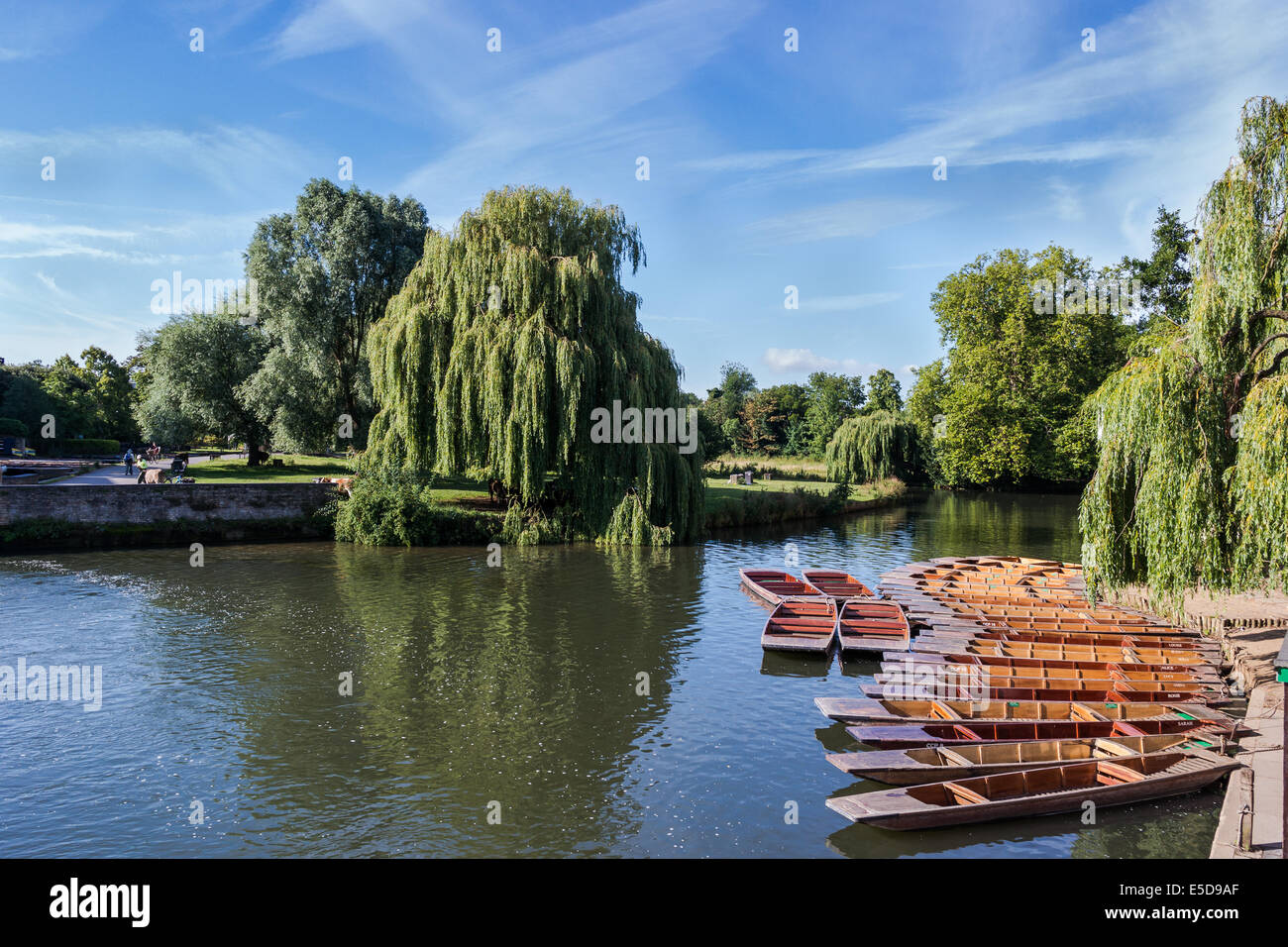 Punts amarrado en el río Cam, Cambridge, Reino Unido Foto de stock