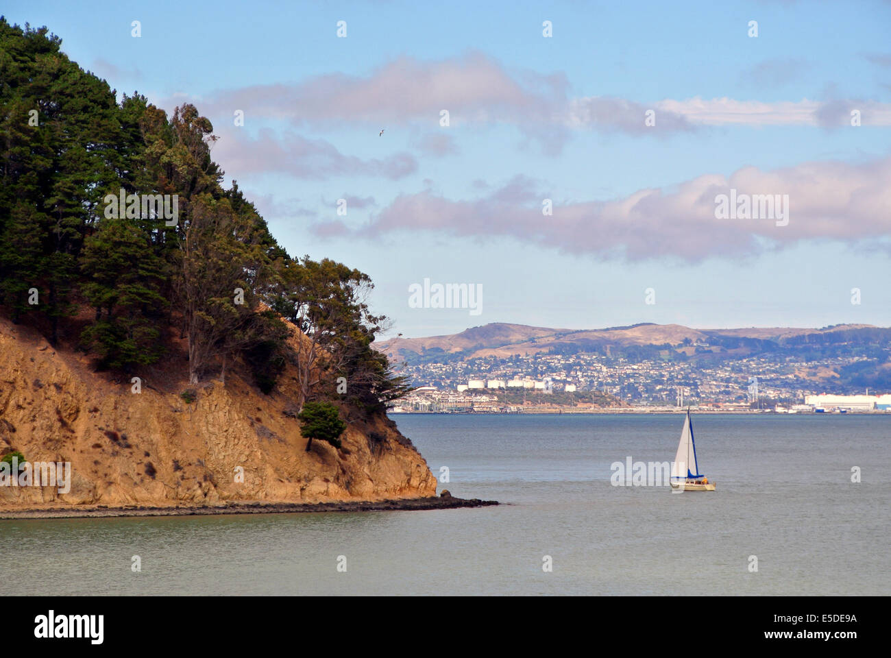 Velero solitario en Tiburon Península Marin County East Coast Foto de stock