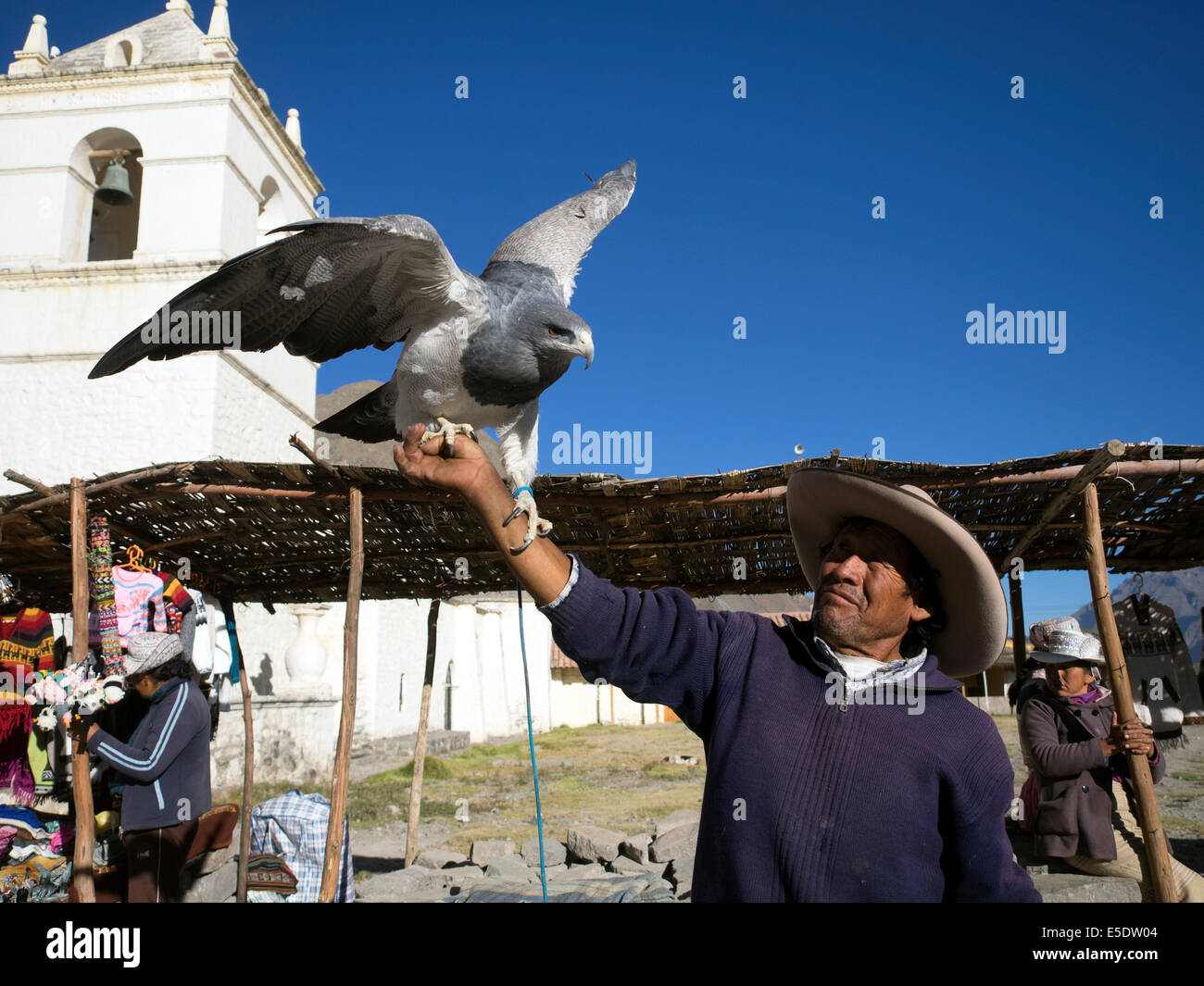 Hombre local con eagle - Yanque, Perú Foto de stock