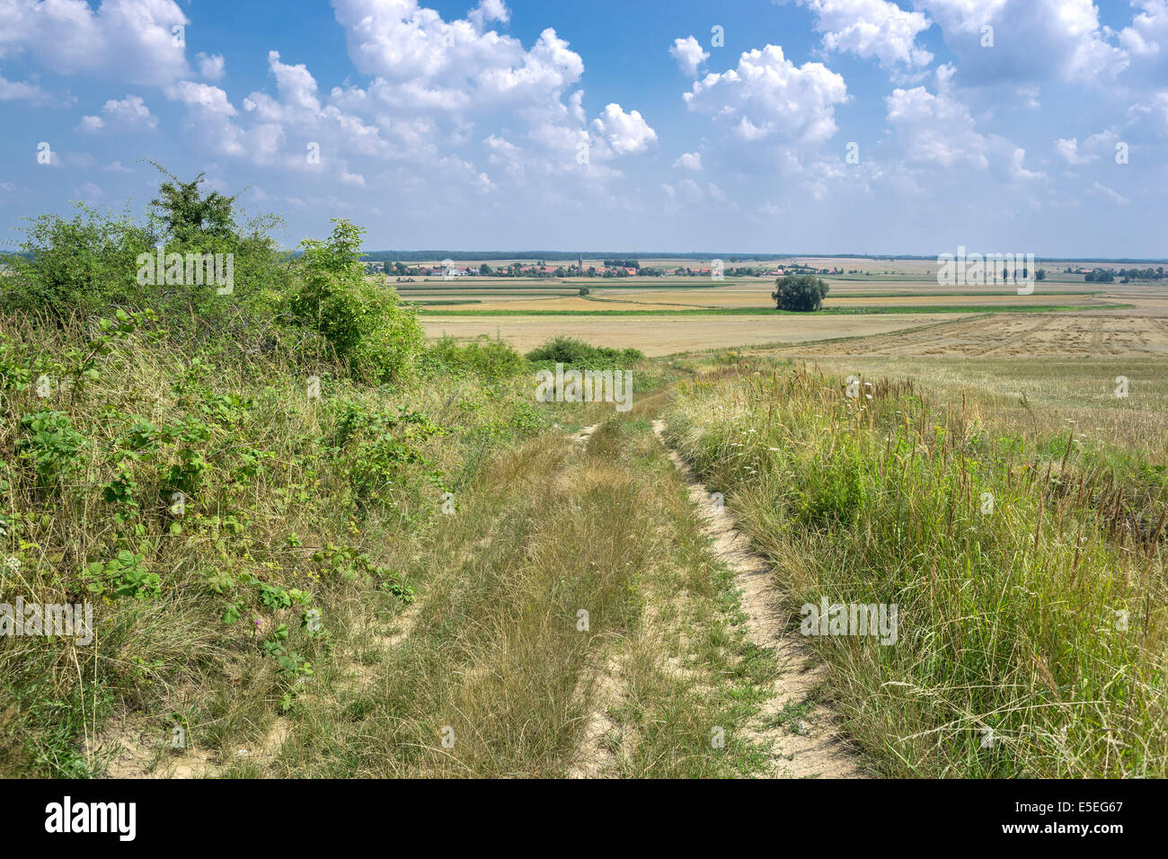 Baja Silesia verano paisaje cerca Strzegom Foto de stock