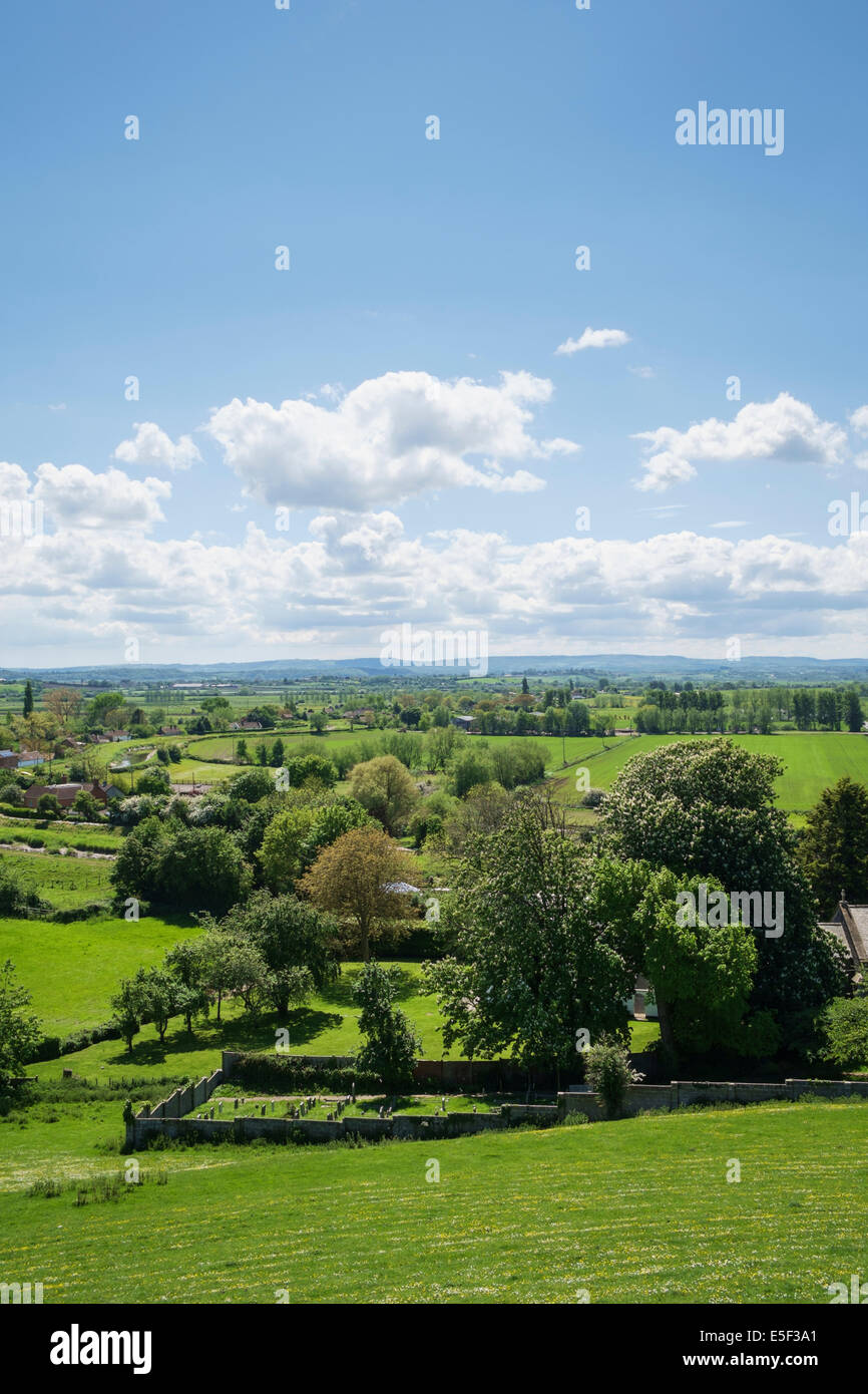 Los niveles de Somerset paisaje de la campiña inglesa, Somerset, Inglaterra, Reino Unido - en la aldea de Burrowbridge en primavera Foto de stock