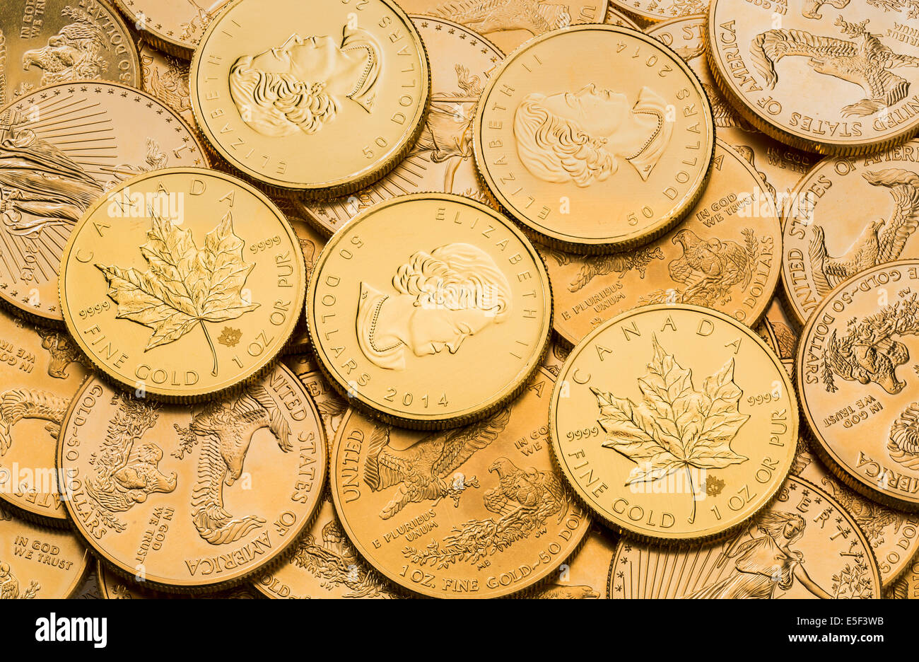 Eagle una onza troy de oro monedas de oro del tesoro estadounidense de menta y de oro canadiense Maple Leaf monedas Foto de stock
