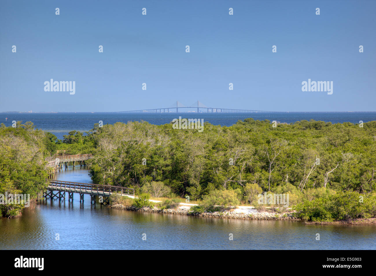 Sunshine Skyway Bridge desde el Robinson preservar, Bradenton, Florida Foto de stock