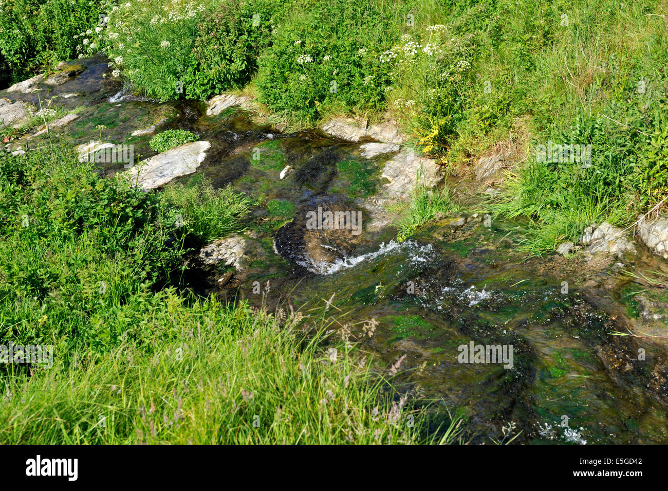 Pequeño arroyo fluye colina abajo produciendo una cascada en Mwnt, Ceredigion, Gales Dyfed Foto de stock