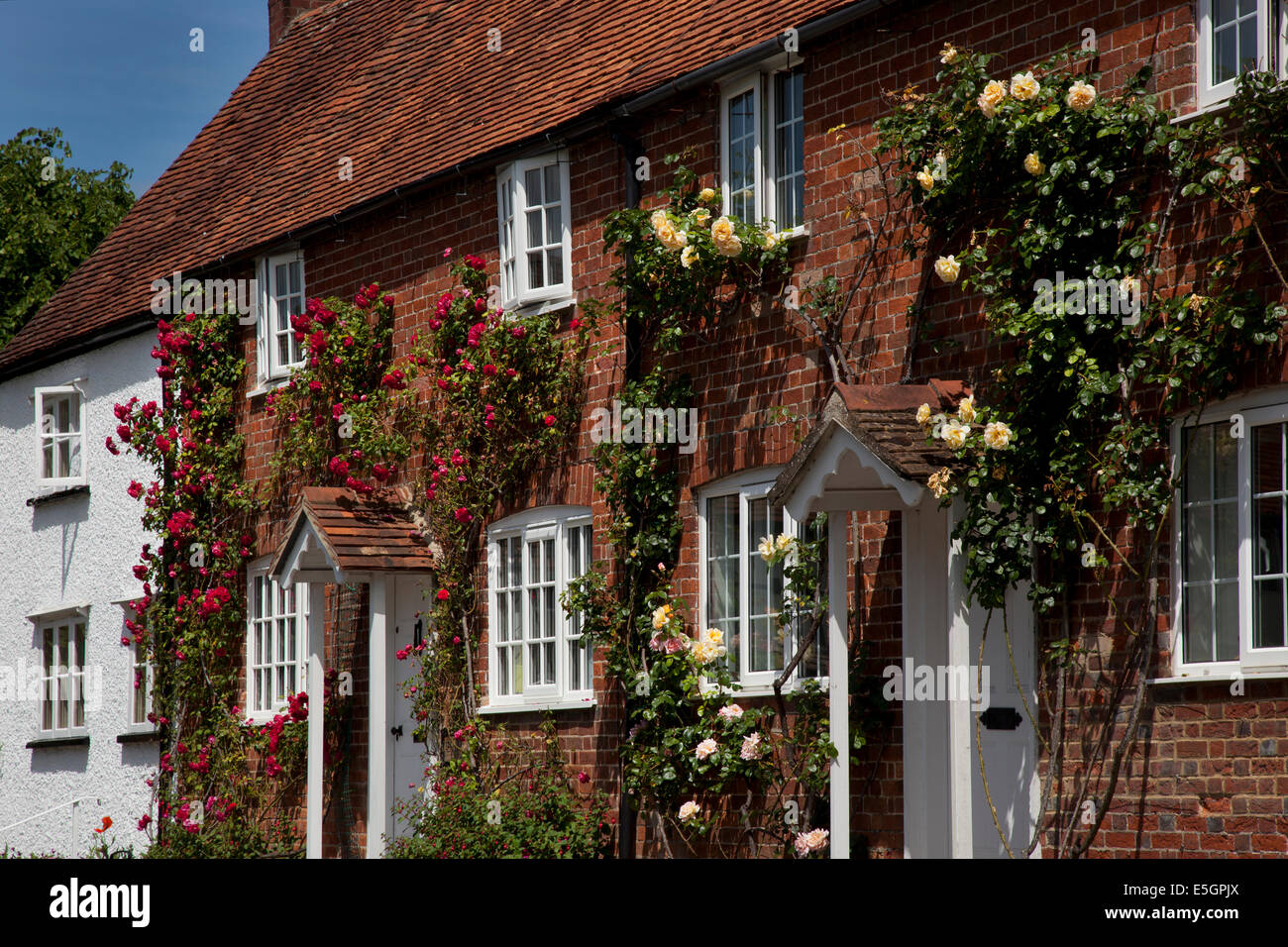 Cabañas con rosas de verano más porche puertas en el pueblo de East Hendred,Oxfordshire, Inglaterra Foto de stock