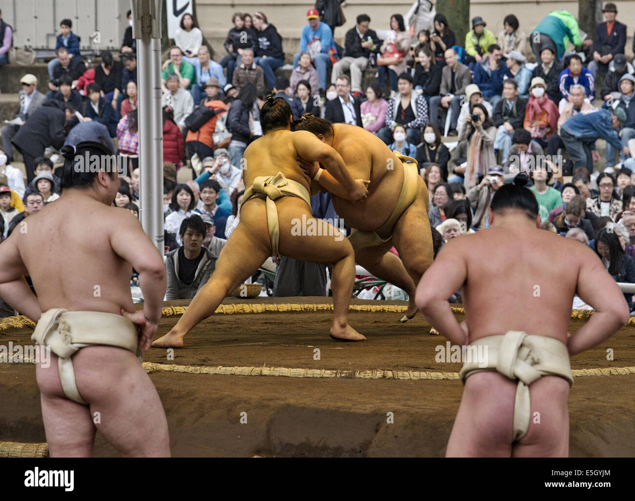 Sumo wrestling match, Tokio, Japón. Foto de stock