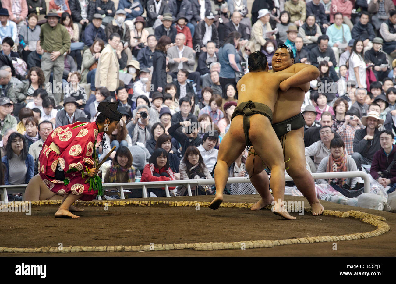 Sumo wrestling match, Tokio, Japón. Foto de stock