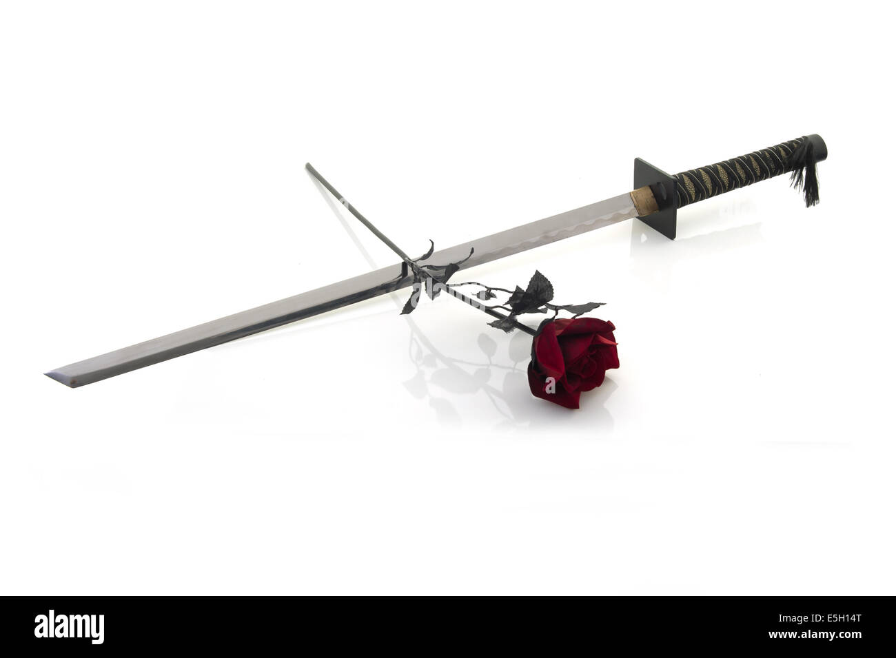 La espada y la rosa fotografías e imágenes de alta resolución - Alamy