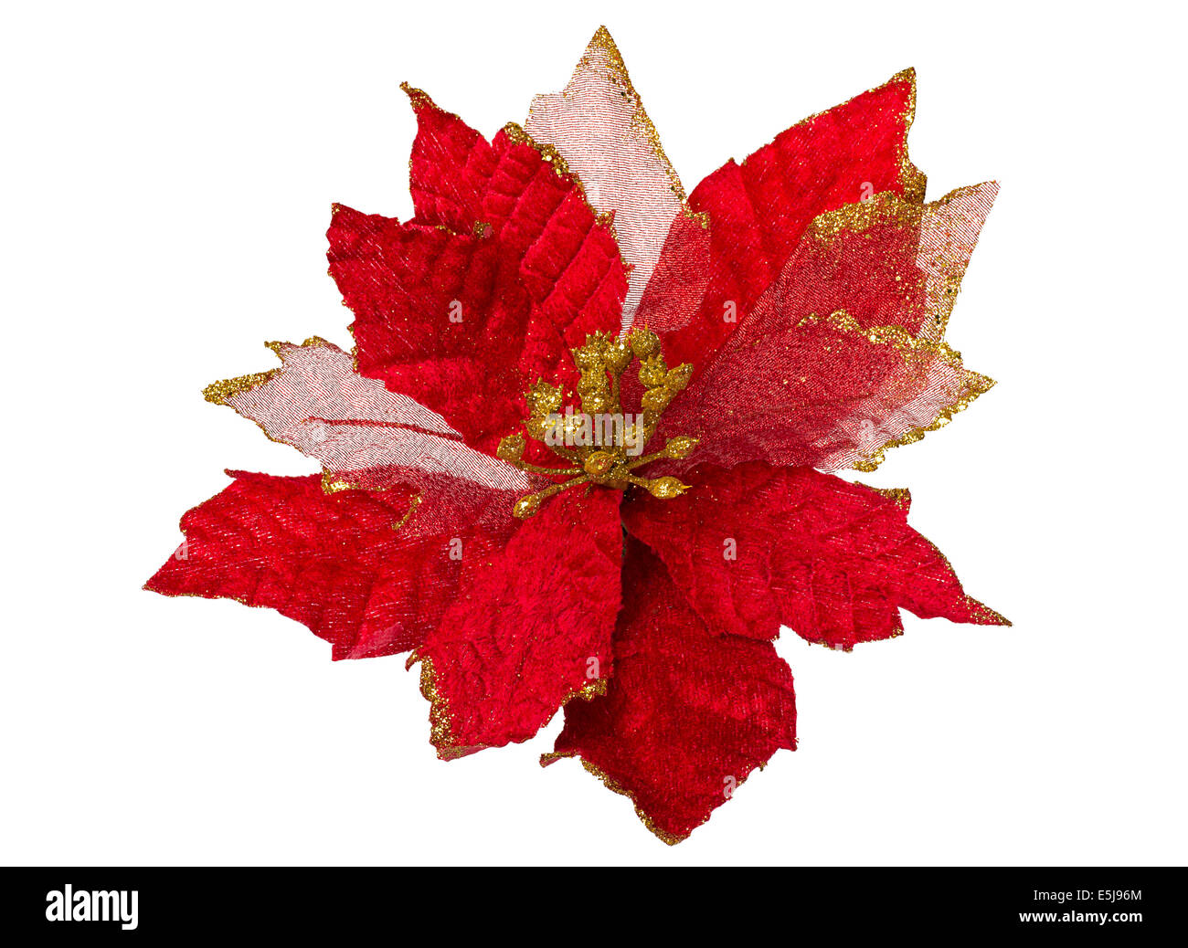 Tejido de flores de navidad en rojo y dorado, aislado sobre fondo blanco  Fotografía de stock - Alamy