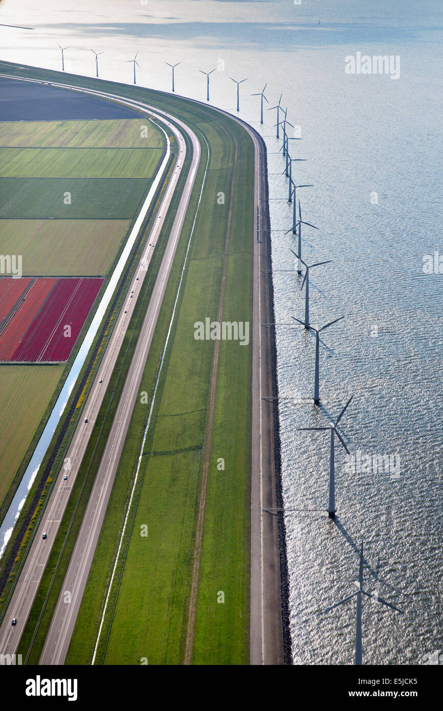 Holanda, Lelystad, Lago llamado IJsselmeer. Aerogeneradores. Tulipanes florecidos. Antena. Flevopolder. Foto de stock