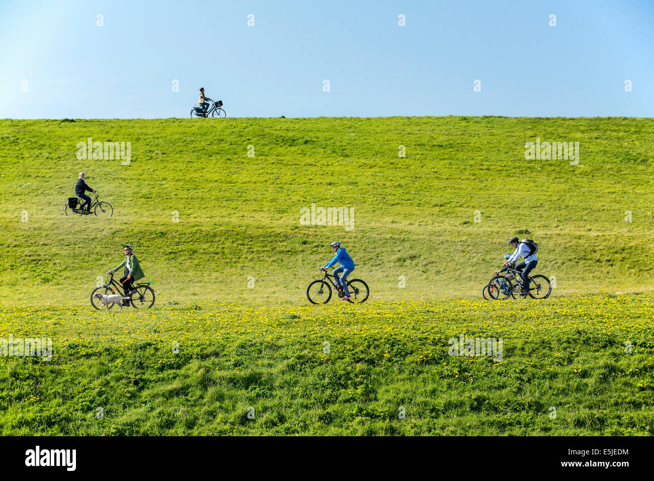 Países Bajos, Petten, ciclistas en dique llamado Hondsbossche Zeewering Foto de stock