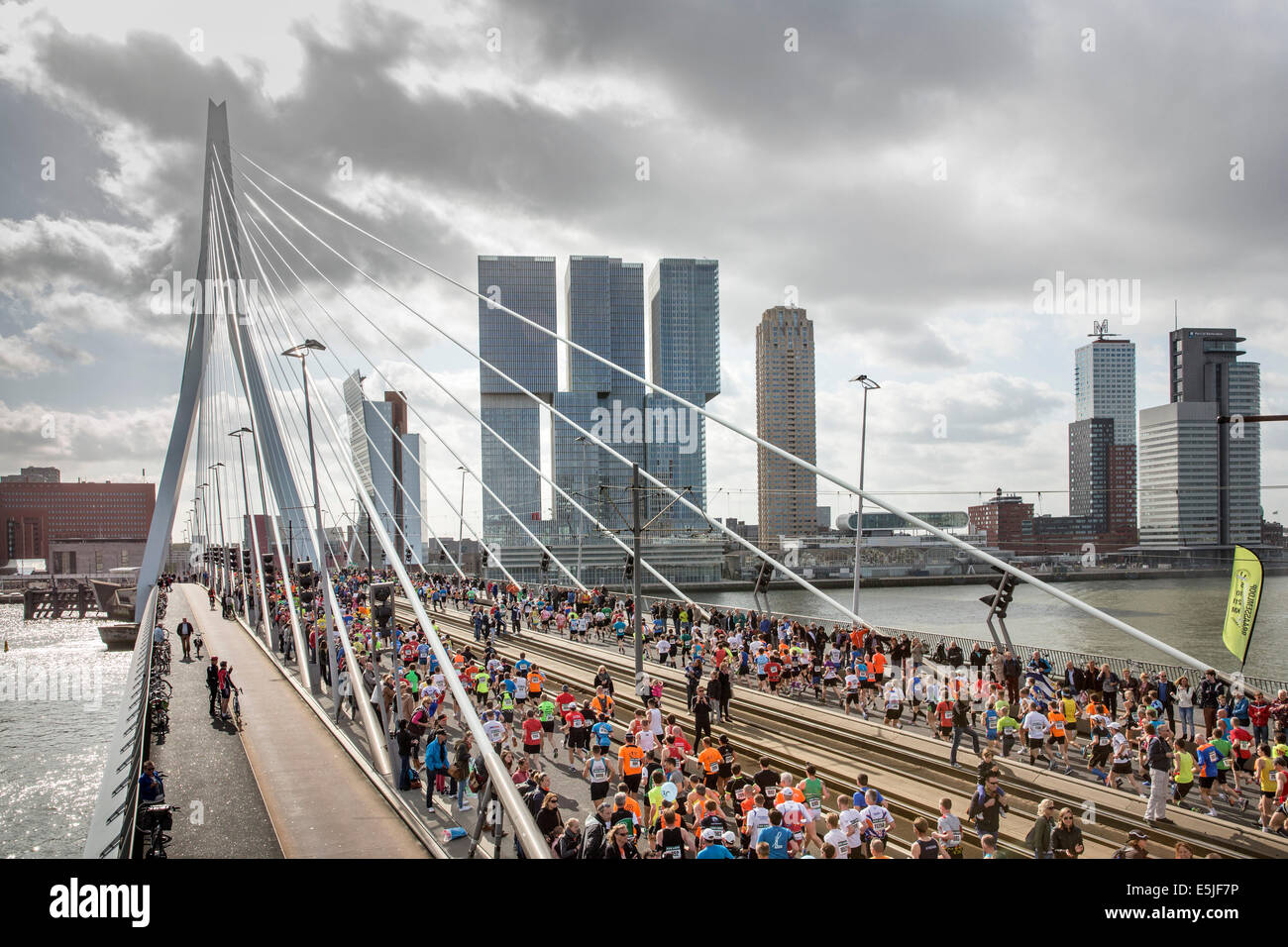 Países Bajos, Rotterdam, ABN-AMRO Marathon 2014. Corredores en puente Erasmus Foto de stock