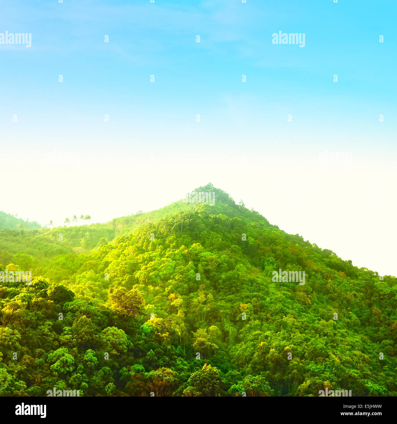 Hermoso bosque de montaña, un alto ángulo de visualización, Tailandia Foto de stock