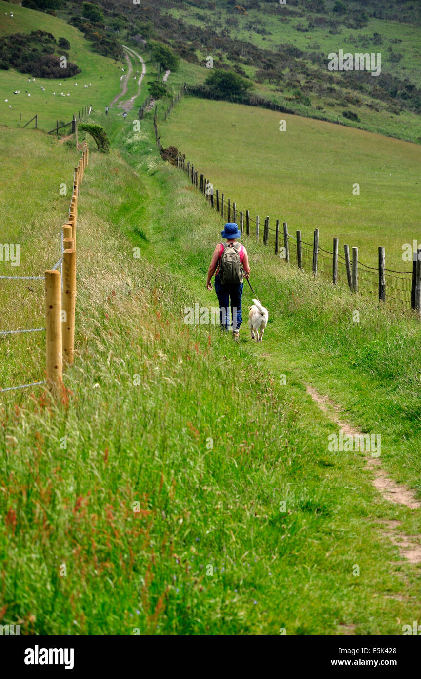 Walker y perro en el sur de Dorset Ridgeway, cerca de Hardy's Monument Foto de stock