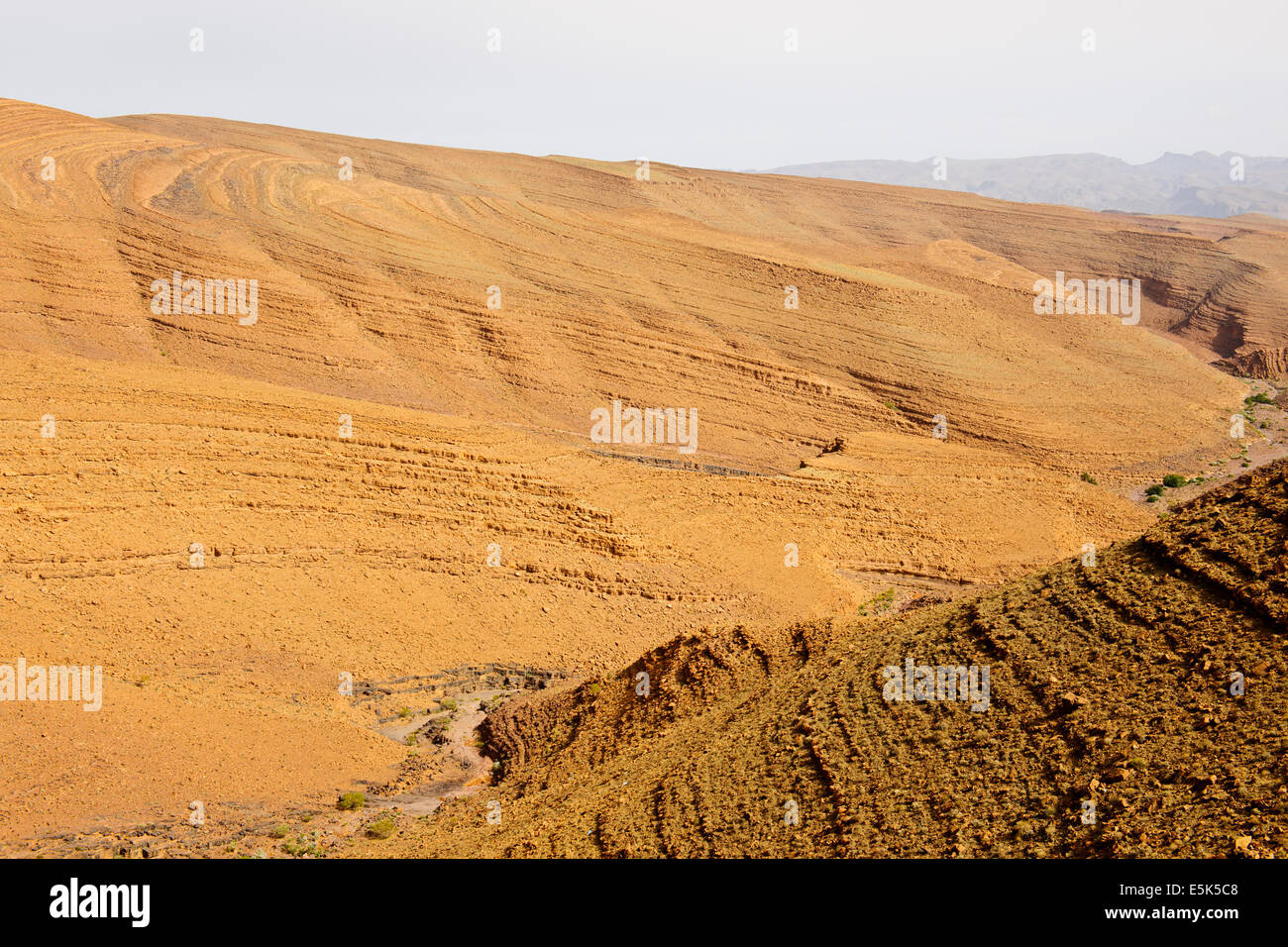 Beni-hayoun llanuras, exuberantes palmeraies,Paul Street,travel & paisajista, sur de Marruecos,bordeando el desierto del Sahara, Argelia Foto de stock